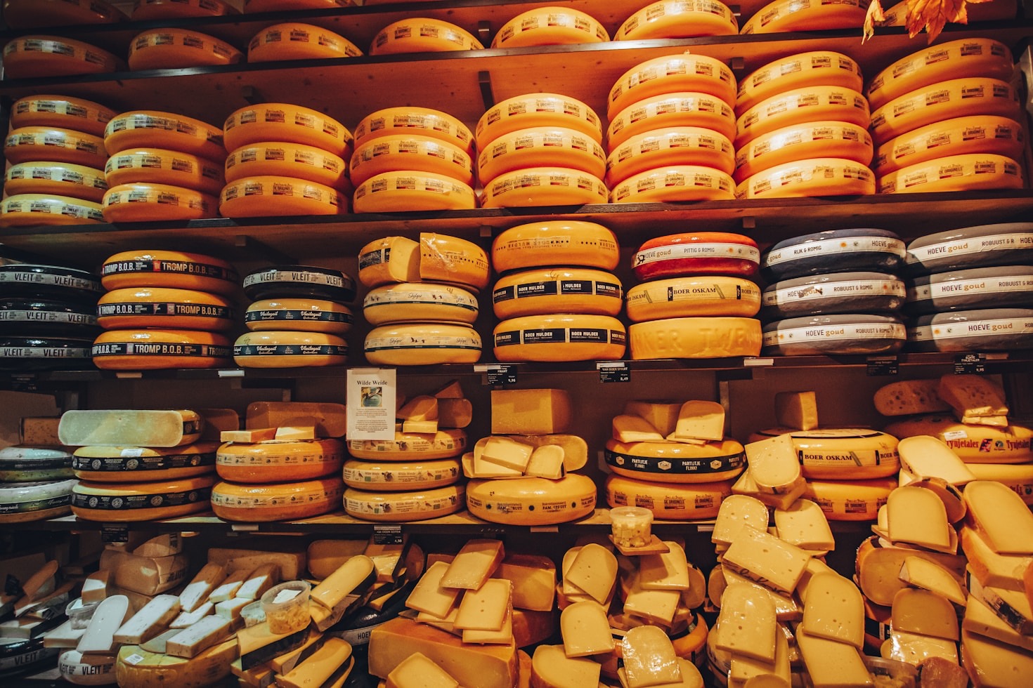 Top 10 Artisan Cheeses You Must Try